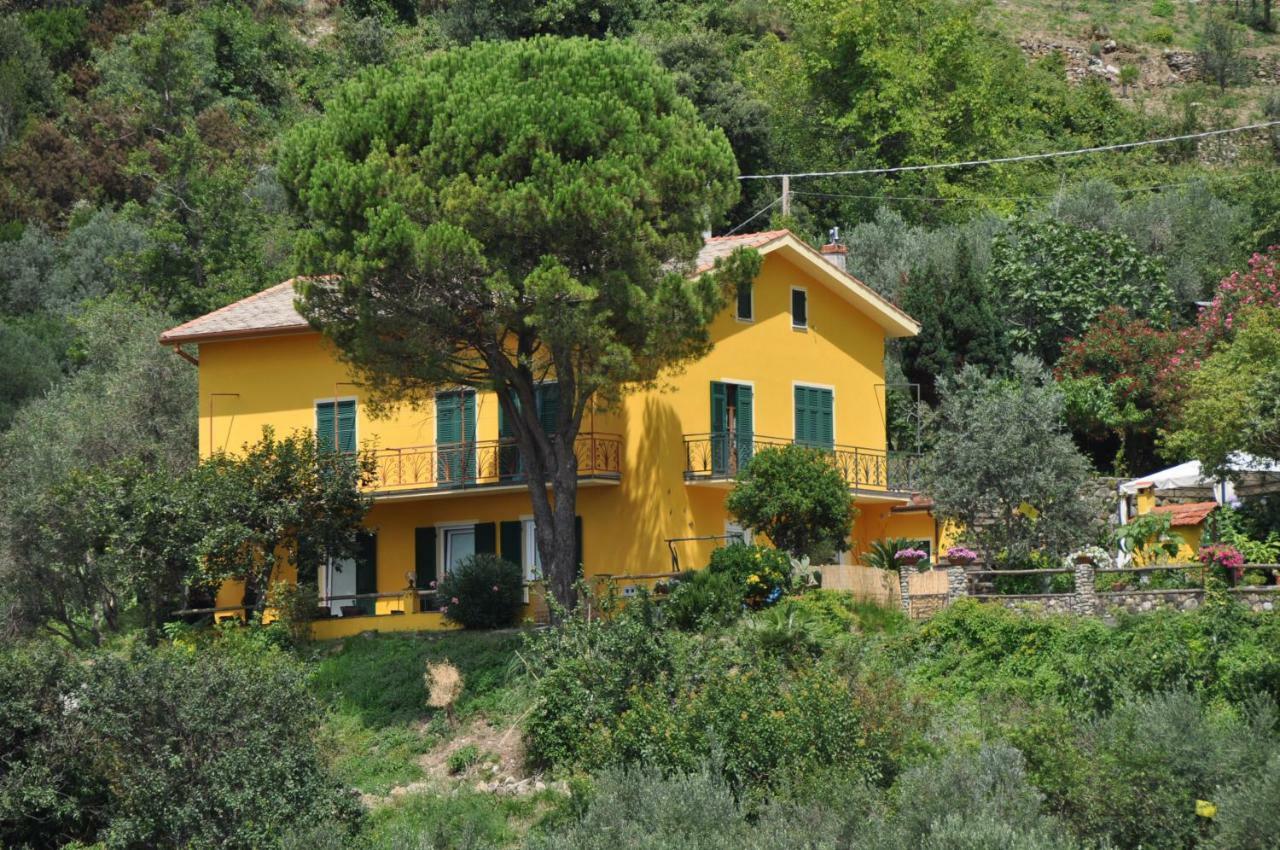 Agriturismo Costa Di Campo Vernazza Exterior photo
